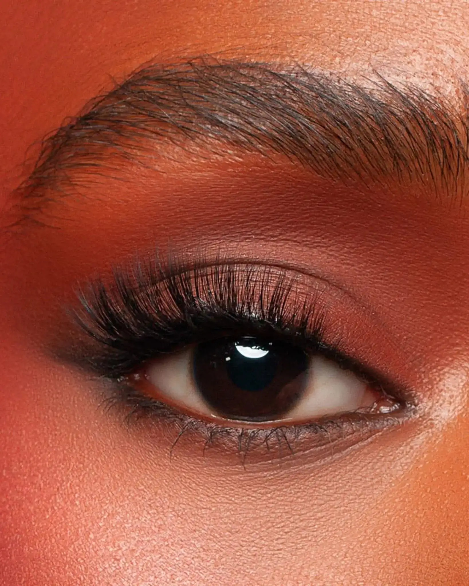 Duo Lash - Image 3