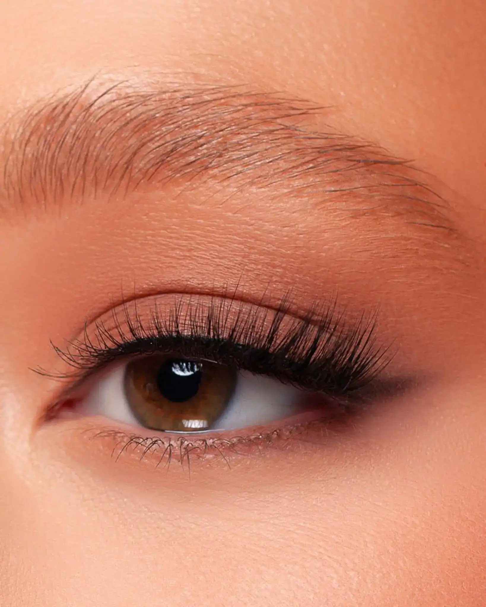 Duo Lash - Image 5